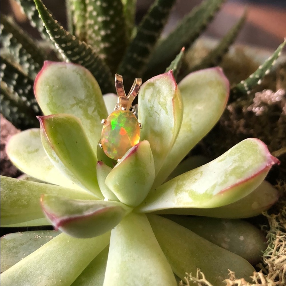 ✨Dainty Opal Necklace